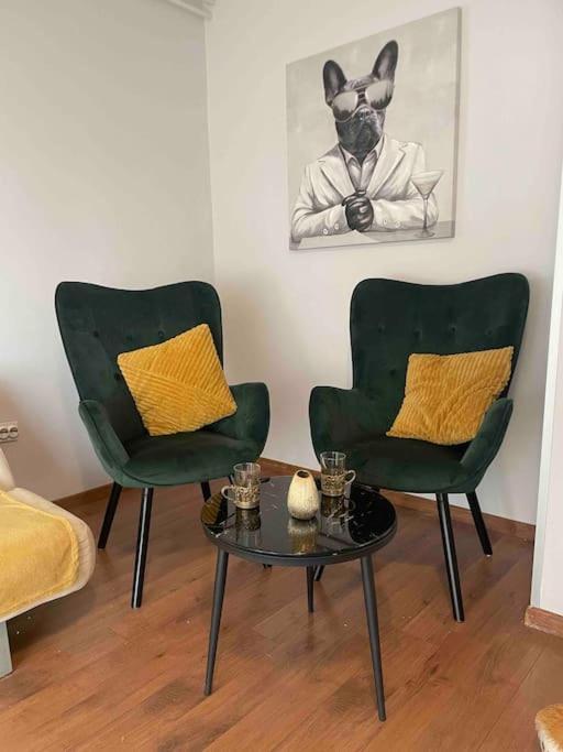Lux Apartment Barbara 포레치 외부 사진